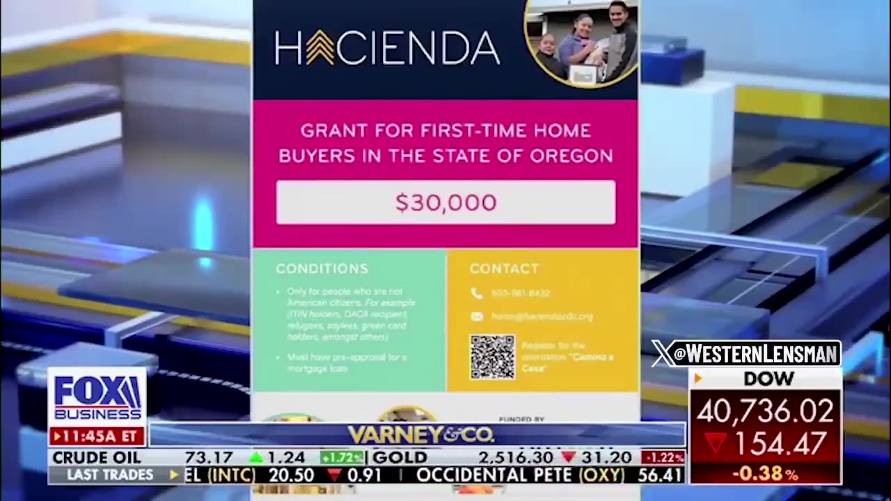 $30K - $150K Interest Free Loans For Illegal Aliens