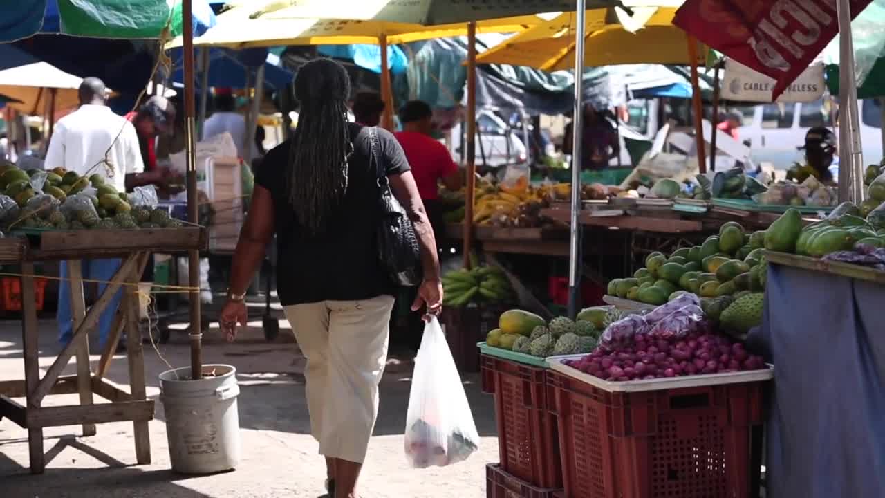 A Day in the Life of St. Lucia