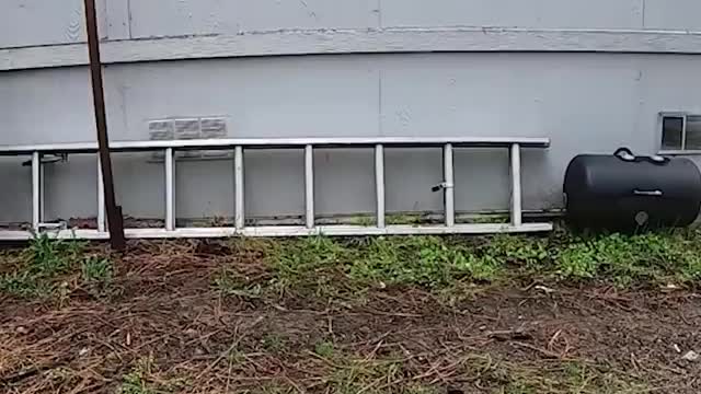 Building An Invisibility Shield