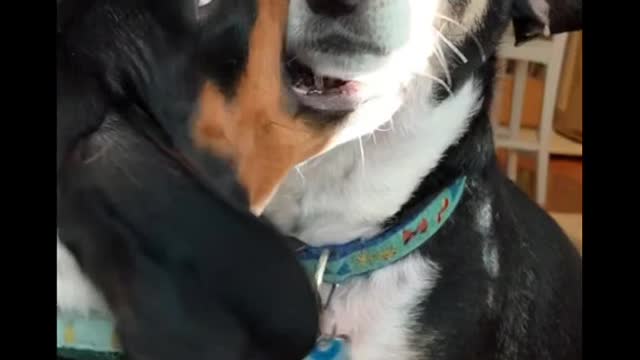 Get a sister they said...it would be fun they said...