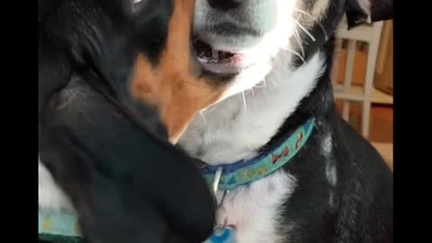 Get a sister they said...it would be fun they said...