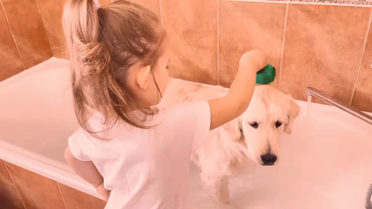 Adorable Little Girl Convinces Golden Retriever Puppy To Take A BATH! (Cutest