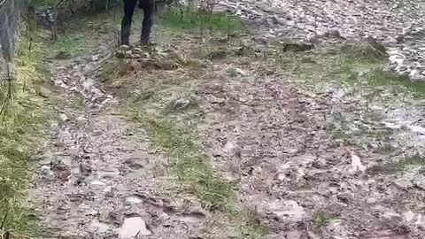 Hiker Manages Slippery Descent on Mud
