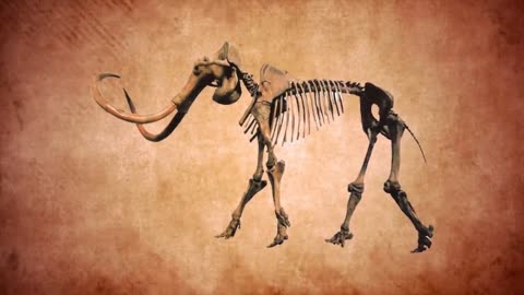 Extinct Animal Still Alive