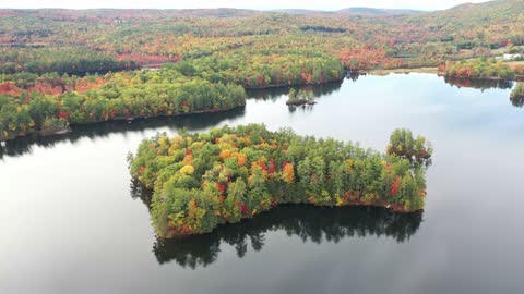 beautiful autumn by the river