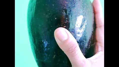 THE BIGGEST AND HEAVIEST AVOCADO IN THAILAND WEIGHING 1.3KGS