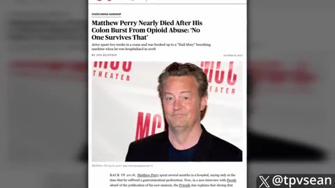 Matthew Perry Vowed To Expose Hollywood Pedophile Ring Before Death