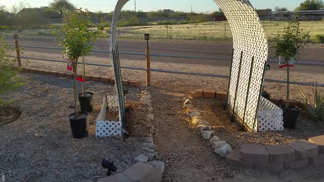 New Front Yard Grow Bed Part 5
