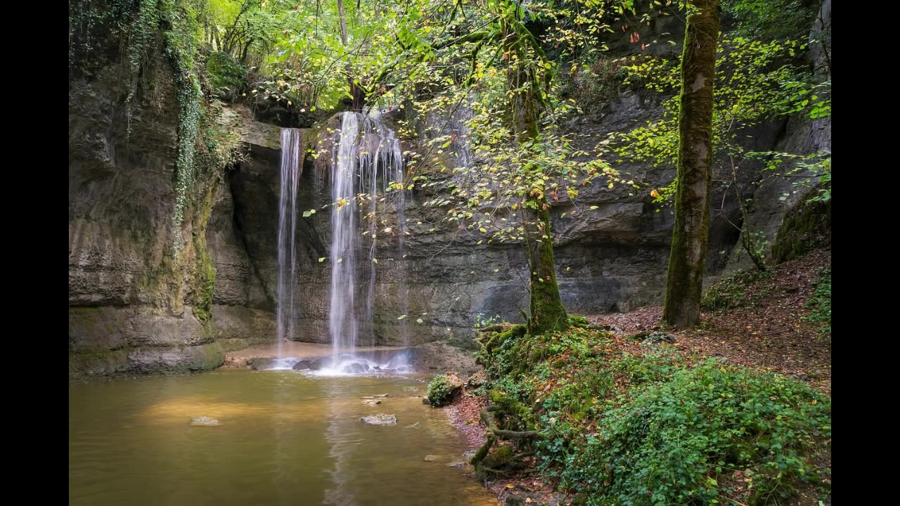 Forest & Water- The Healing Power Of Nature Sounds Forest Sounds Relaxation Film