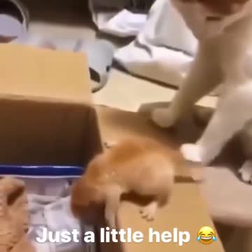 just a little help