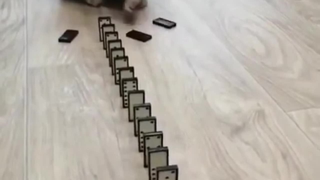 Puzzle game of cat