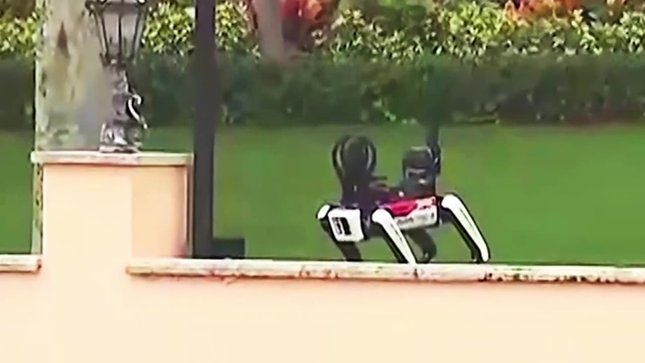 A Robotic Dog Patrols Trump’s Mar-A-Lago As Security Is Beefed Up After His Election Victory