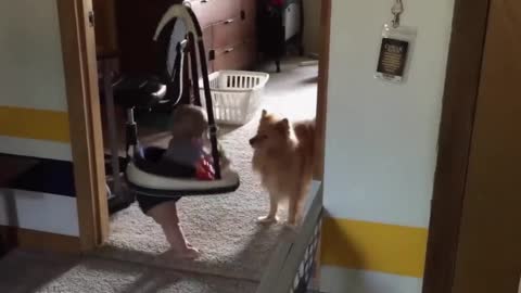 The baby plays with the toy with the lovely dog