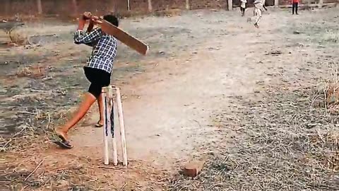 Cricket love❤