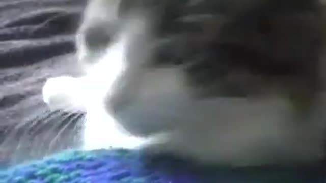 Missie Part 1