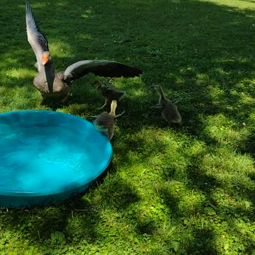 Momma And Baby Loving Life