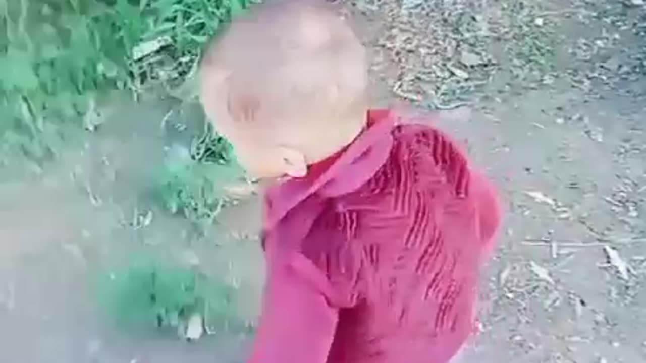 Best TikTok Video Of 2023