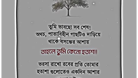 ইয়া আল্লাহ আমাদেরকে তোমার পথে চালাও