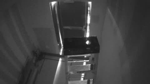 5194CHOB05C5BN1RoofExit_2021-01-06_16h20min03s707ms.mp4