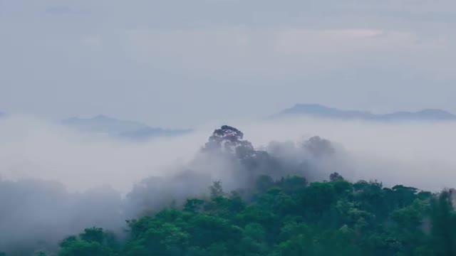 🍀 Beautiful Romantic Saxophone Music 🍀 With Calming Piano Music 🍀 Relaxing Background Music 🍀