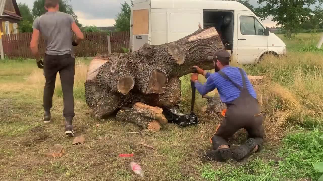 Spectacular wood