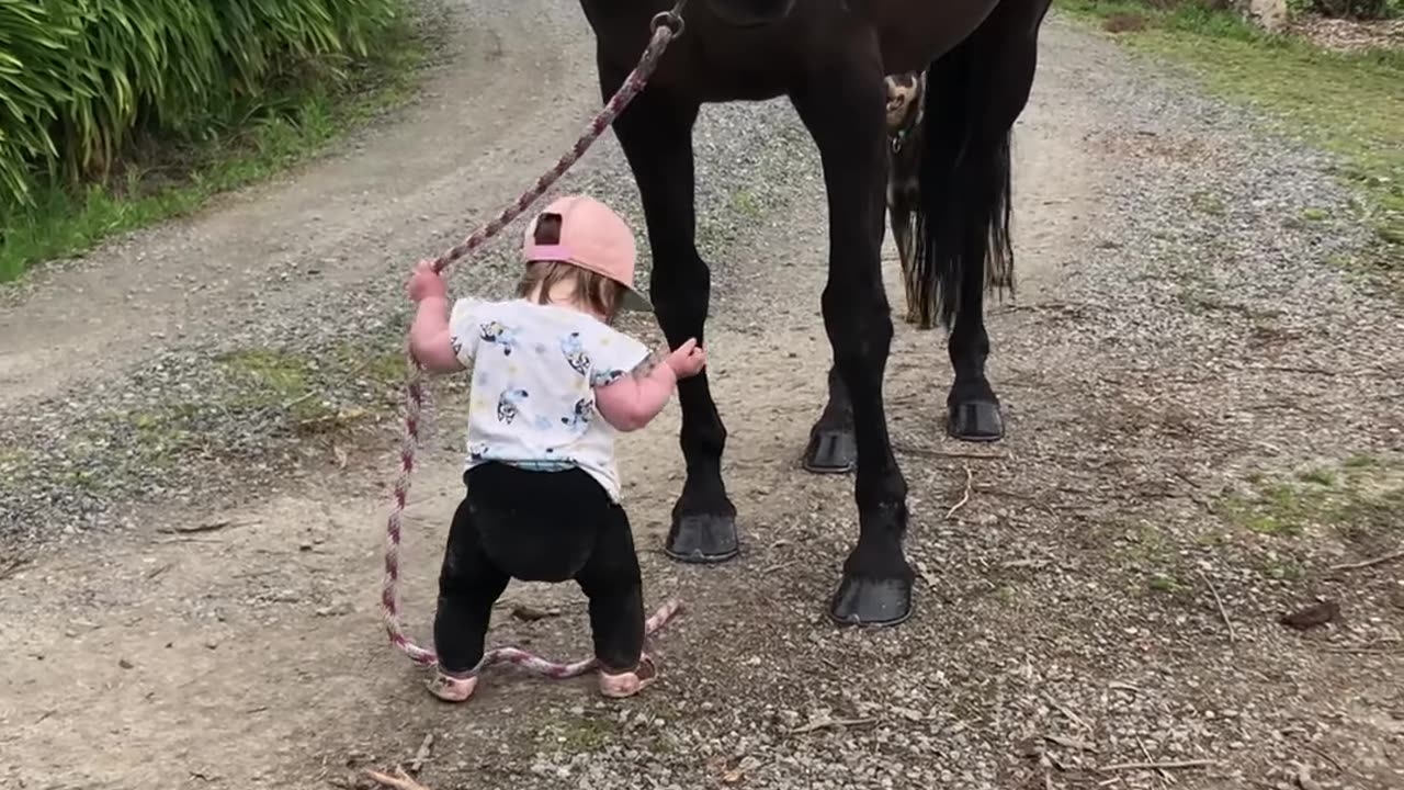 15-month-old girl leads her horse 🐎