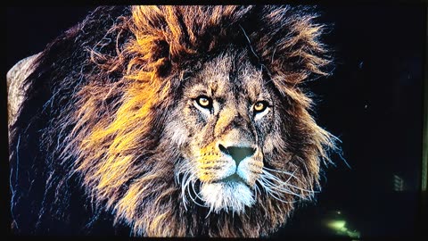 THIS IS JUST THE BEGINNING...PT.4