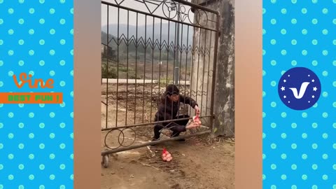 new funny video cutest