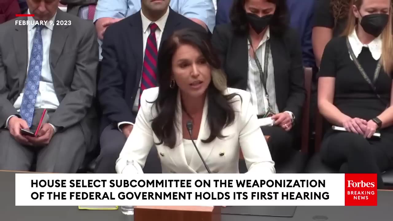 Tulsi Gabbard Makes Case For How Govt Agencies 'Are Being Weaponized Against Us' | Full Statement