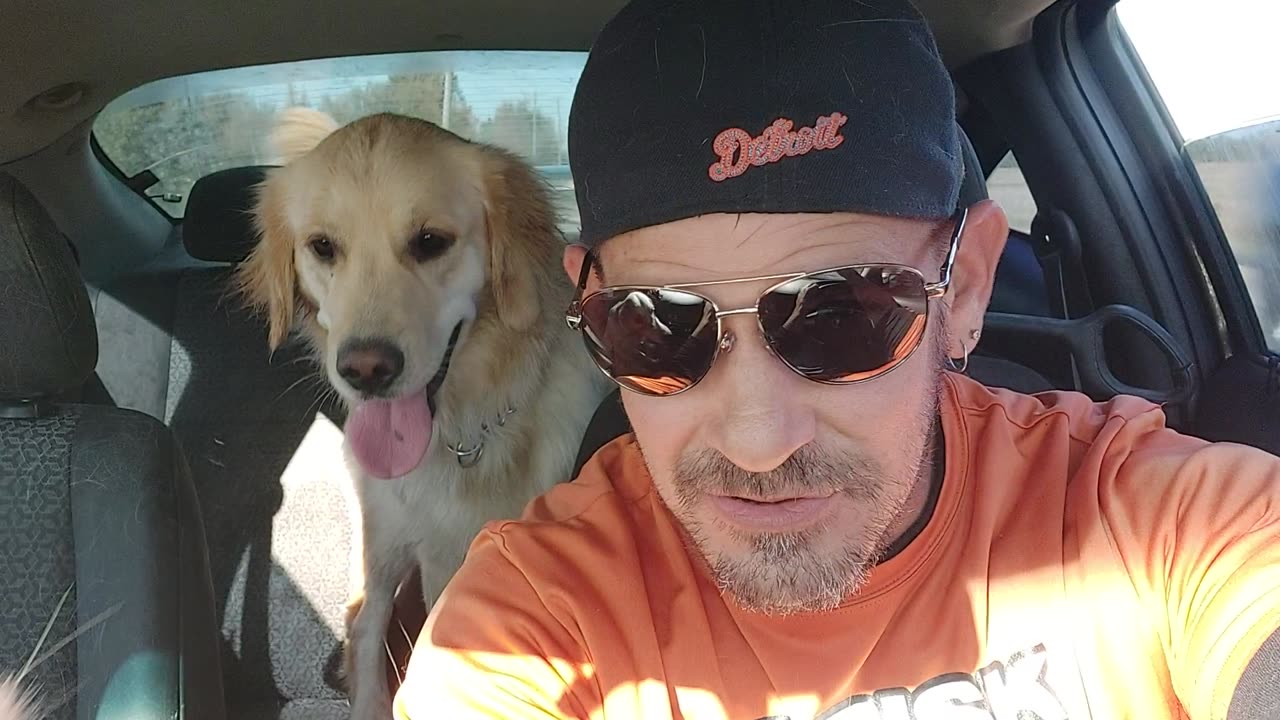 Just picked up lily