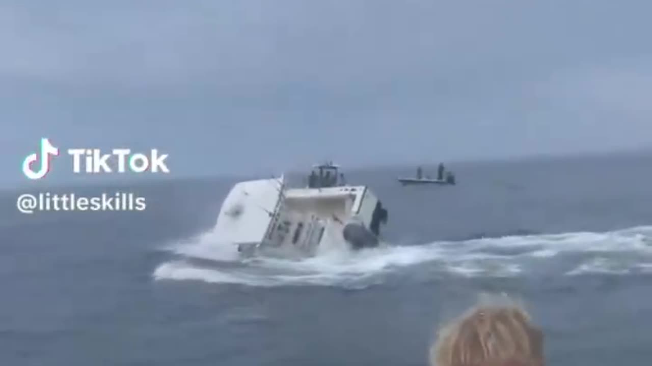 WHALE SINK FISHING BOAT AT SEA🛟🏊‍♂️🛥️🐋🚤💫