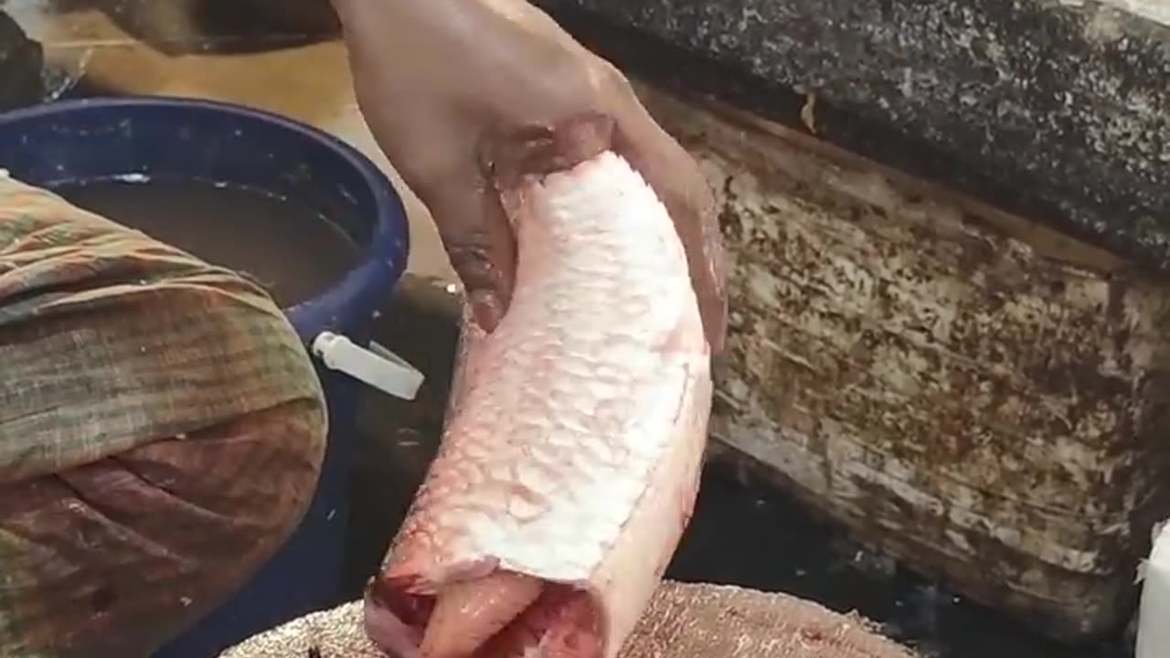 Amazing Hilsa Fish Cutting Skills In Bangladesh Local Fish Market