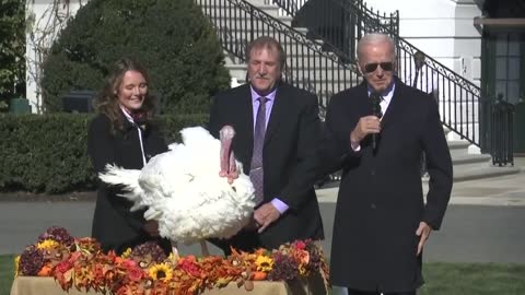 Biden: "Nine and a half million turkeys, that's like some of the countries I've been to."