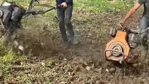 CRC vídeos curiosos