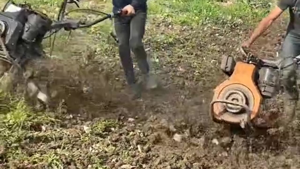 CRC vídeos curiosos