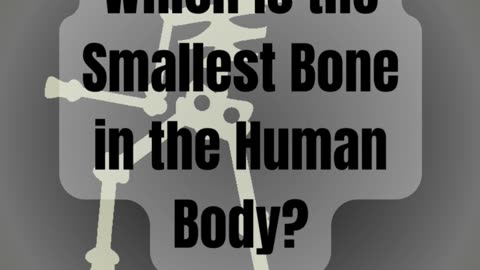 "The Tiniest Wonder: What's the Smallest Bone in Your Body? Quiz"