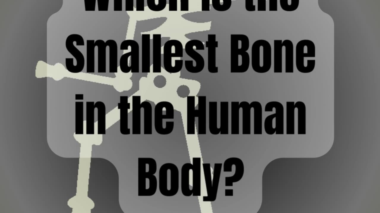 "The Tiniest Wonder: What's the Smallest Bone in Your Body? Quiz"