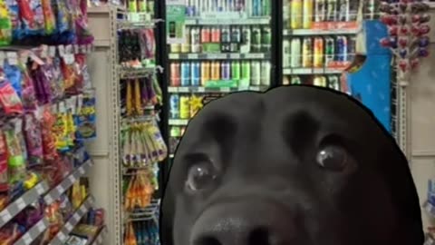 WHEN YOU AND YOUR BUDDY WALK INTO YOUR LOCAL CORNER GAS STATION DURING😂 DECEMBER