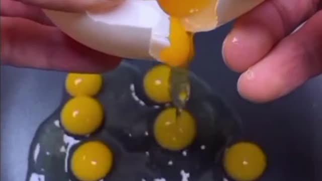 an egg with many yolks