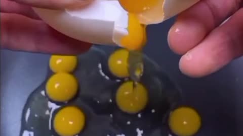 an egg with many yolks