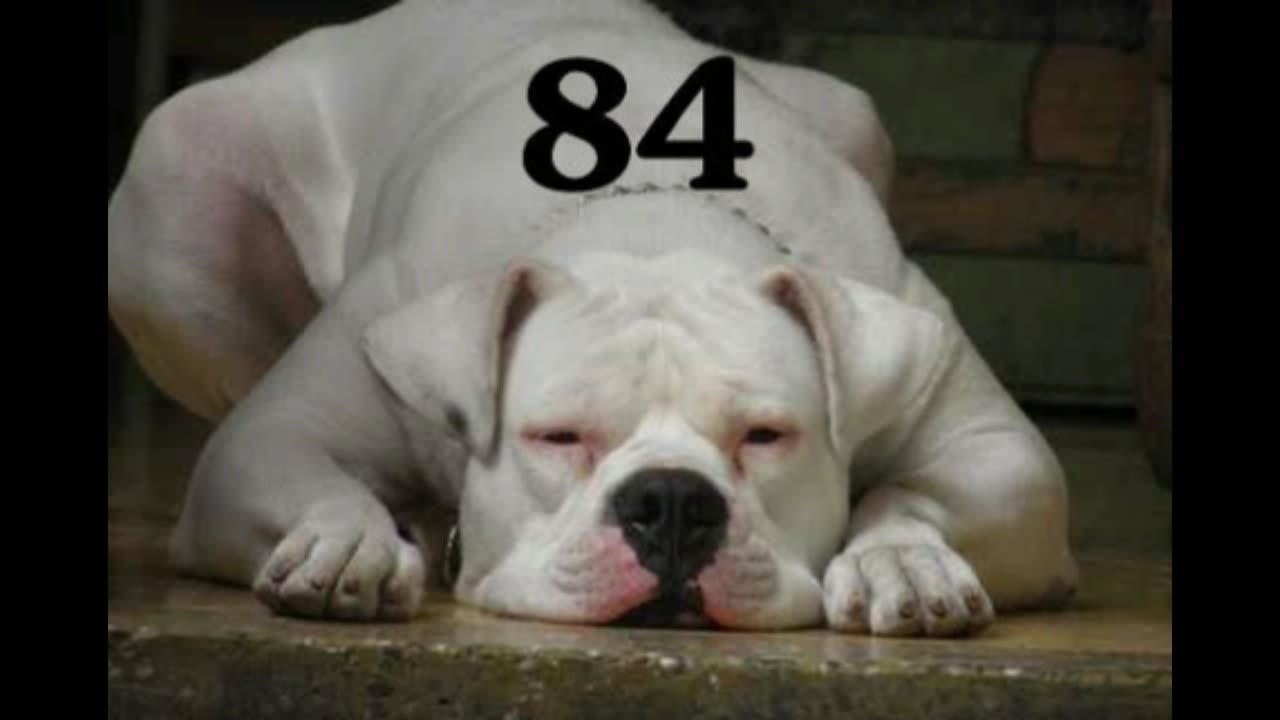 84