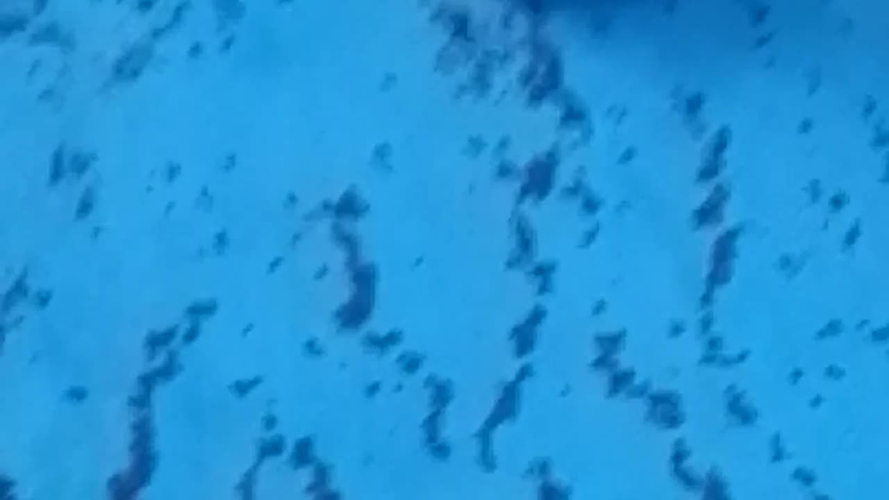 Particles in the water