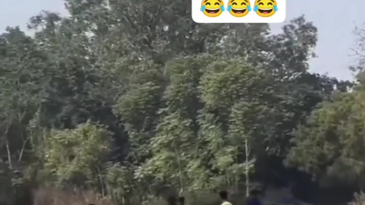 cool monkey