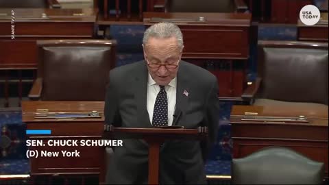 Chuck Schumer rips Trump for 'termination' of Constitution comments USA TODAY