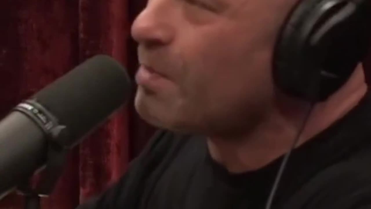 Insane Restaurant Brawl Uncovers Incredible UFC Hero You Wont Believe part 2