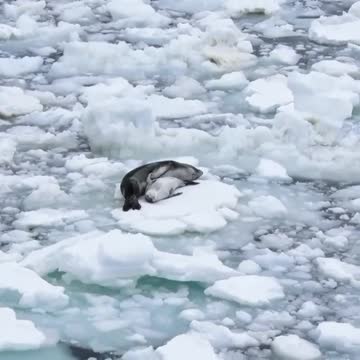 Nothing like a good nap