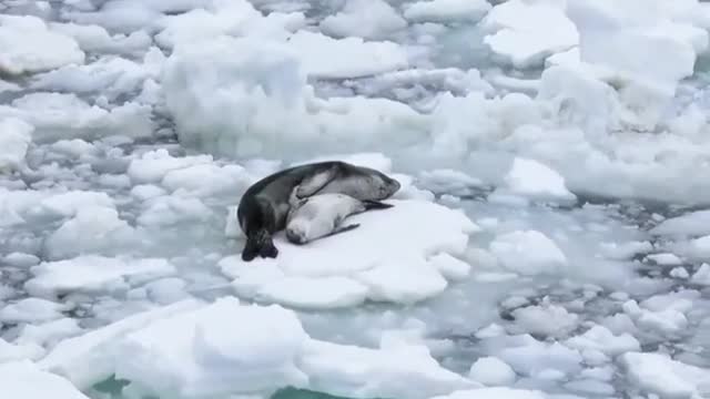 Nothing like a good nap