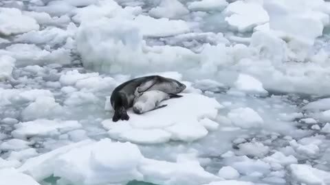 Nothing like a good nap