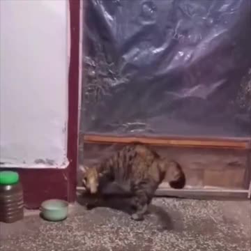 Put your body into it 😂😂👍