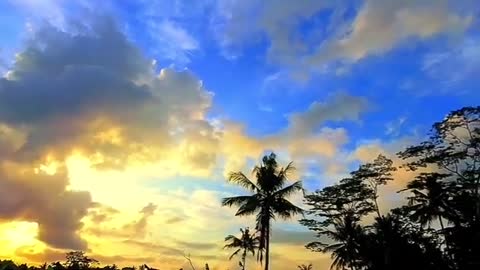 Morning view like this....